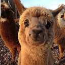 yummyummy-404 avatar