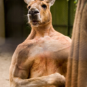 yutori3dayo296625-blog avatar