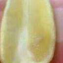 yyhgg5544-blog avatar