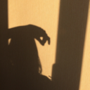 zaharovvvva-blog avatar