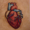 zanderzargarin avatar