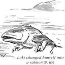 zanywitchchaos avatar