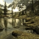 zdravkaboudinova avatar