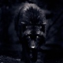 zealouswitchwerewolf avatar