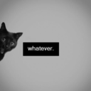 zeekai-licious avatar