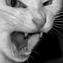 zeke-n-destroy avatar