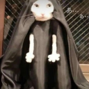 zombieclown16 avatar