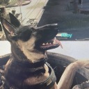 zombiegirlcascade avatar