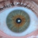 zopzippedeedoo avatar