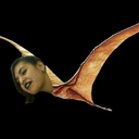 zulmadactyl avatar